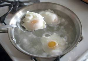 Poached eggs