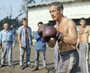 Newman in Cool Hand Luke