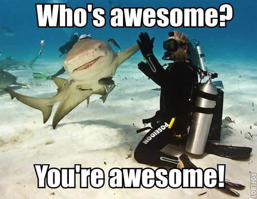 awesome shark